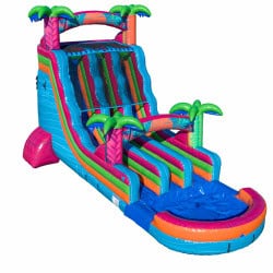 18ft Dual Lane Electric Slide